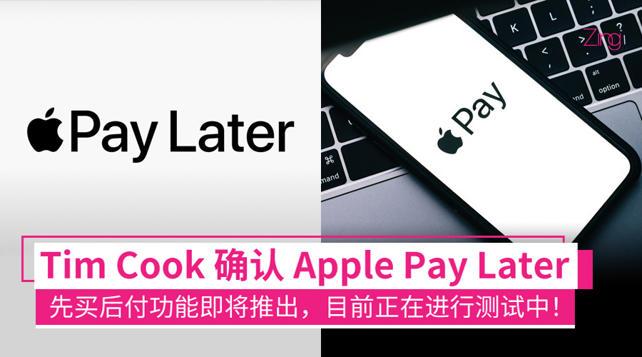 apple pay later